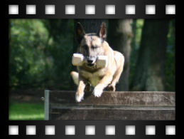 VPG-Kreismeisterschaft 2011